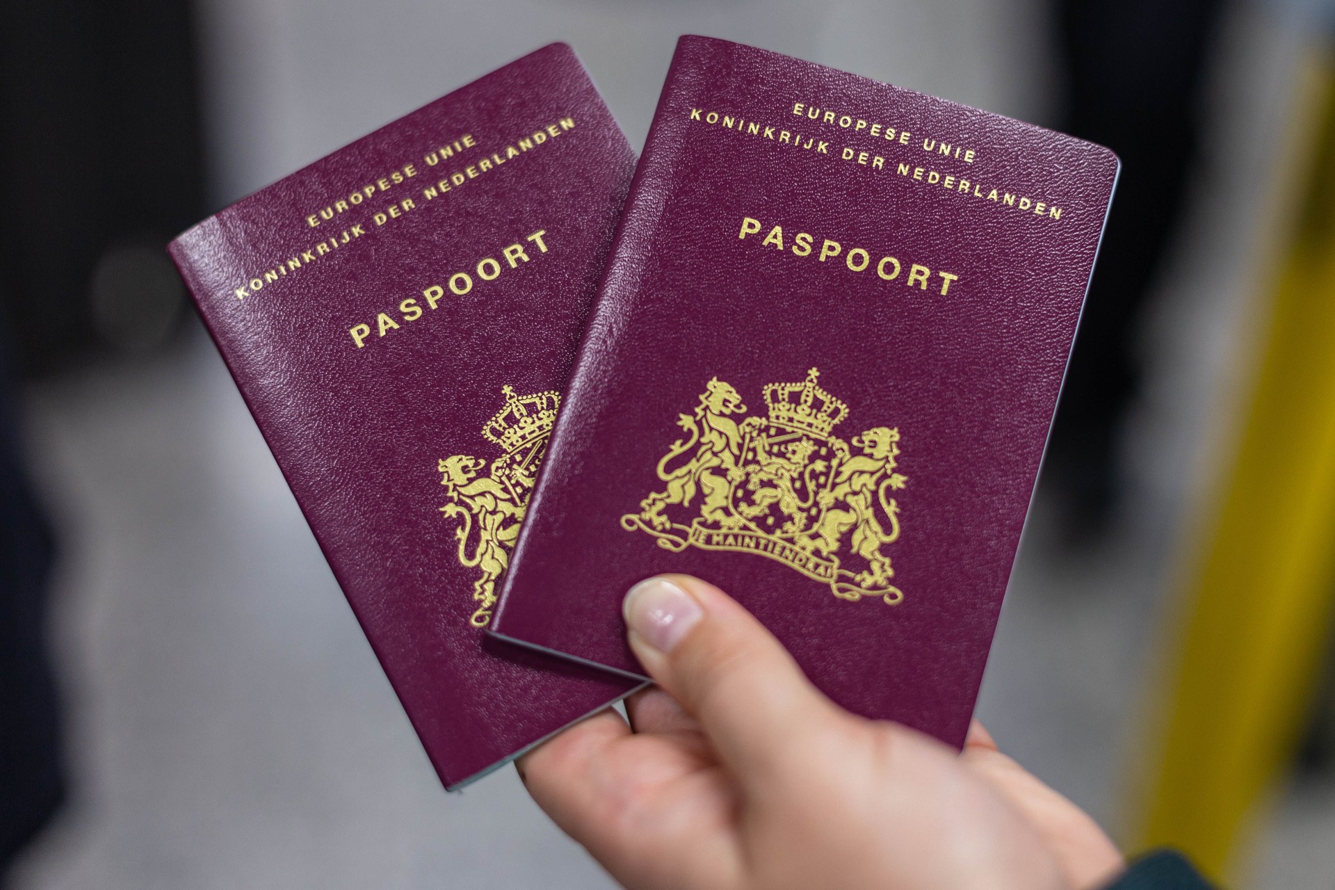 Front of the passports of the Kingdom of the Netherlands